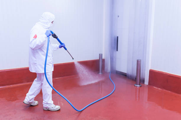 Best Oil Spill Cleanup  in St Marys, GA