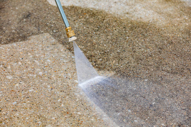 Best Roof Washing  in St Marys, GA