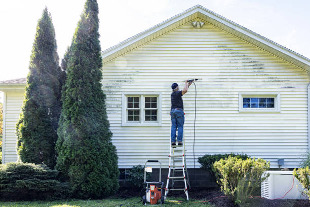 Animal Enclosure Cleaning in St Marys, GA